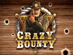 Crazy Bounty screenshot